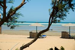 El Gouna Dive Centre - Red Sea